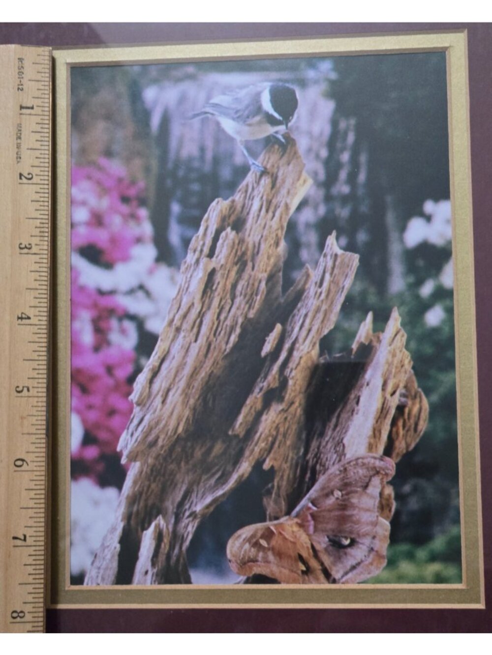 Gold Framed Chickadee Floral Butterfly Photo Print Grandma Country Cottage - Picture 4 of 10